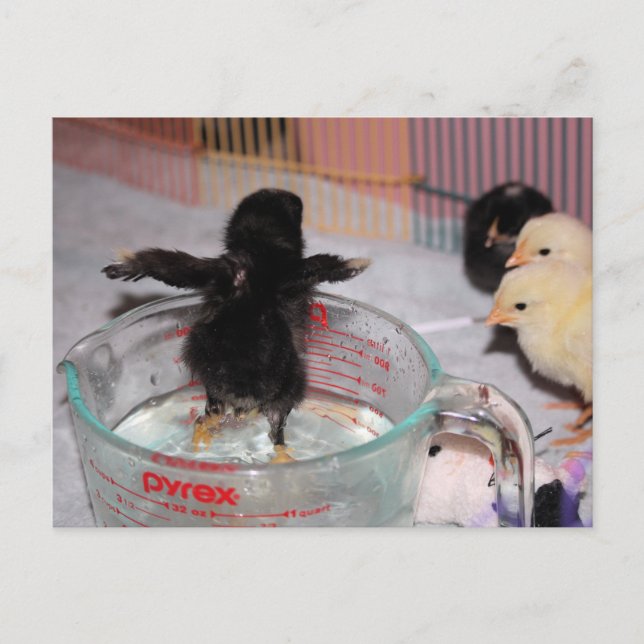 Bath time postcard (Front)