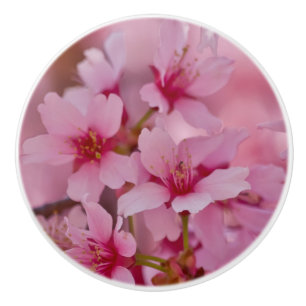 Bathed in Pink Japanese Cherry Blossoms Ceramic Knob