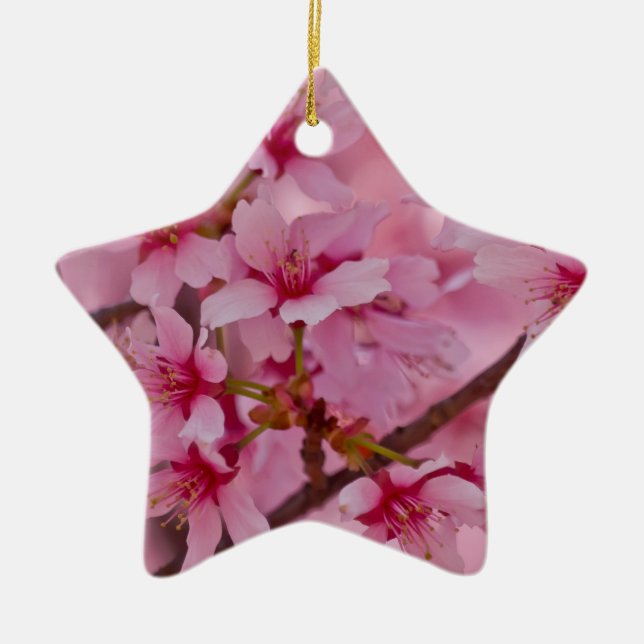 Bathed in Pink Japanese Cherry Blossoms Ceramic Tree Decoration (Front)