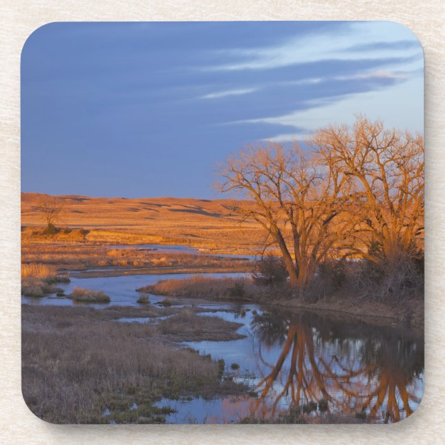 Bathed in sunset light the Calamus River Coaster (Front)