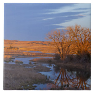 Bathed in sunset light the Calamus River Tile