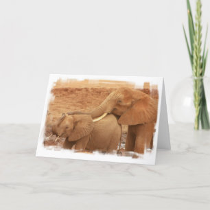 Bathing Baby Elephant Greeting Card