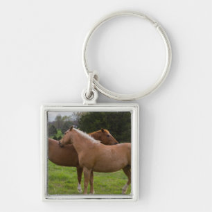 Bathing Beauties Key Ring