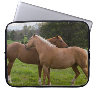 Bathing Beauties Laptop Sleeve