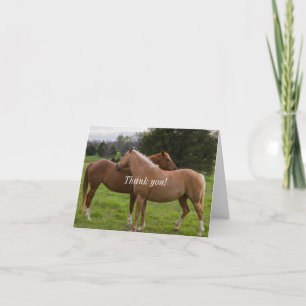 Bathing Beauties Thank You Card