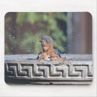 Bathing Bluebird Mouse Pad