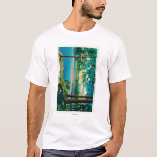 Bathing Cove Point at Lake Arrowhead T-Shirt