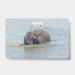 Bathing elephant ID badge