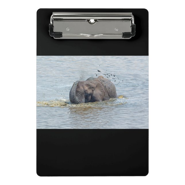 Bathing elephant mini clipboard (Front)