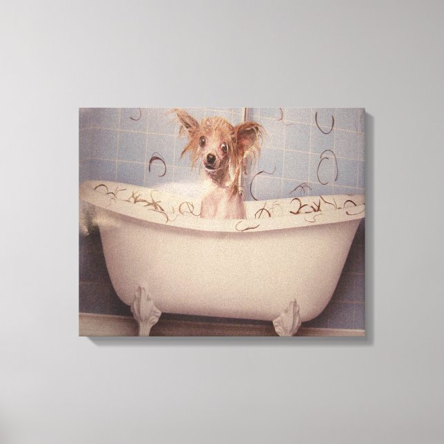 BATHING PUPPY CANVAS PRINT (Front)