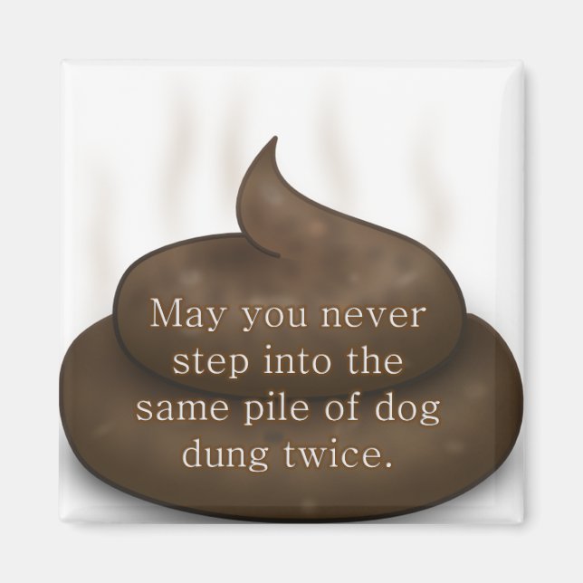 Bathroom Blessing: Don't Step in Poop Twice Magnet (Front)
