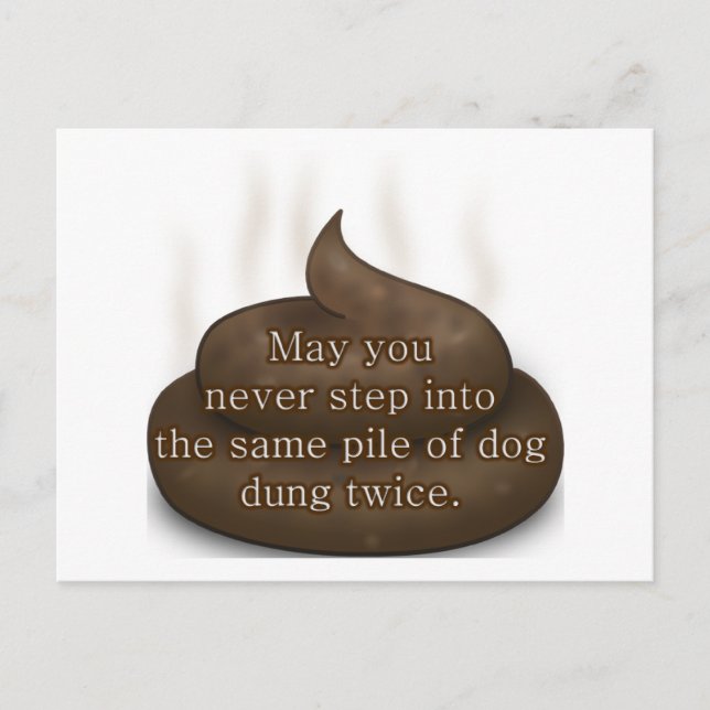 Bathroom Blessing: Don't Step in Poop Twice Postcard (Front)