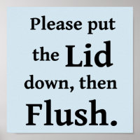 Bathroom Flush