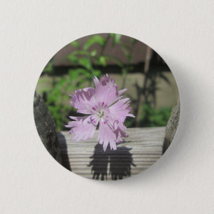 Baths Pink Dianthus on Fence 6 Cm Round Badge