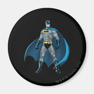 Batman Kicks Magnet
