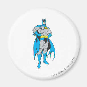 Batman Stands Magnet