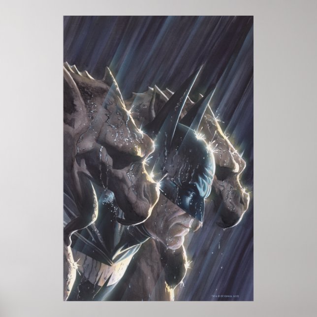 Batman Vol 1 #681 Cover Poster (Front)