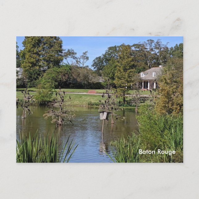 Baton Rouge Postcard (Front)