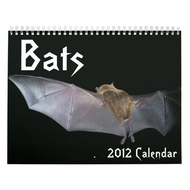Bats Calendar (Cover)