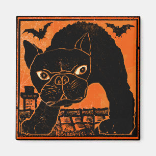 Bats Magnet