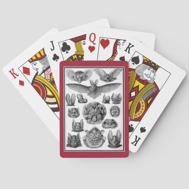Bats! Playing Cards (Back)