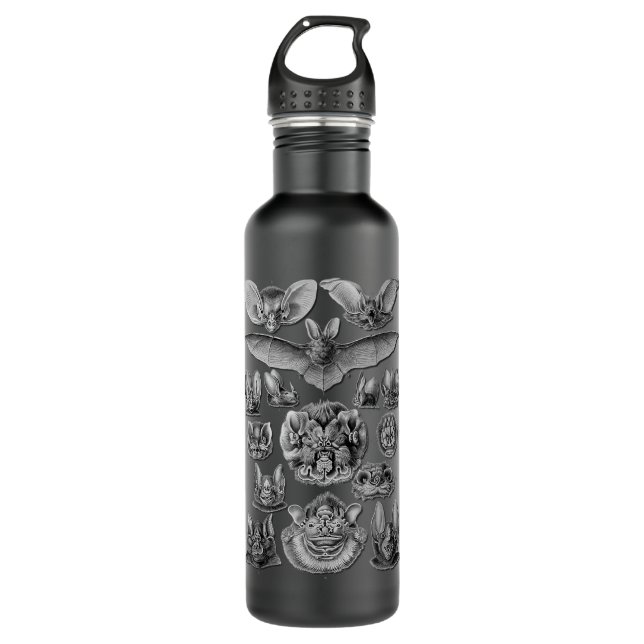 Bats Scientific Illustration Drawing Biology Art H 710 Ml Water Bottle (Front)