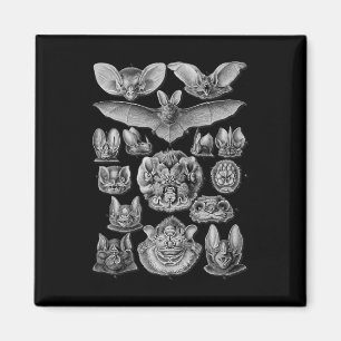 Bats Scientific Illustration Drawing Biology Art H Magnet