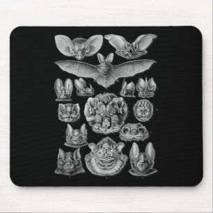Bats Scientific Illustration Drawing Biology Art H Mouse Pad