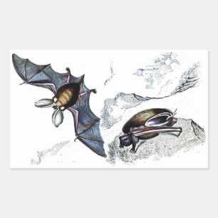 Bats Sticker