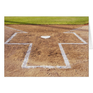 Batter's box