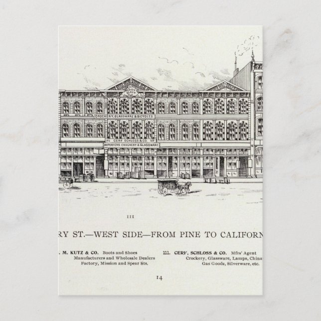 Battery West side Pine and California Postcard (Front)