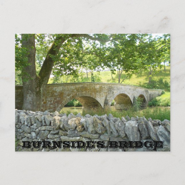Battle of Antietam: Burnside's Bridge Postcard (Front)