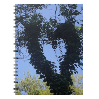 Baumherz Spiral Notebook