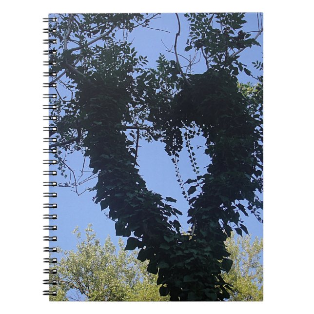 Baumherz Spiral Notebook (Front)