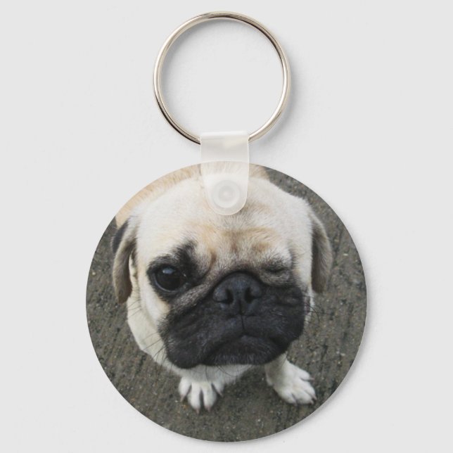 Bauwk ... Pug Dog ... かわいい 子犬 Key Ring (Front)