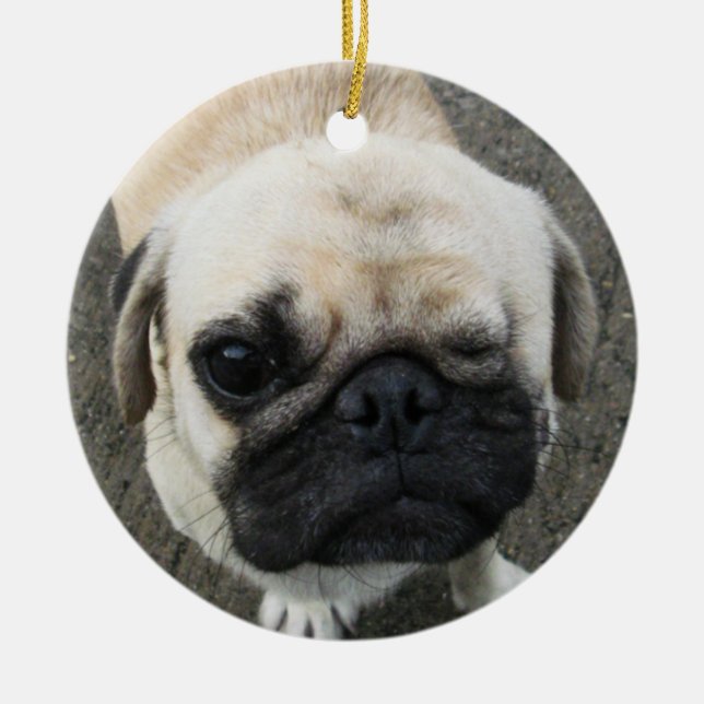Bauwk ... Pug Dog ... Thailand Ceramic Tree Decoration (Front)
