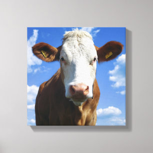 Bavarian cow against blue sky canvas print