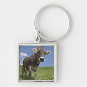 bavarian cow key ring