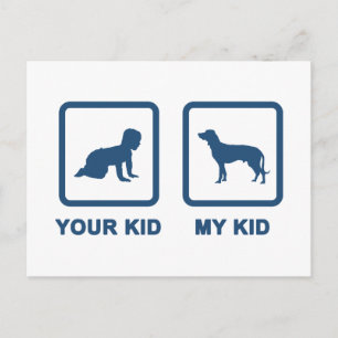 Bavarian Mountain Hound Postcard