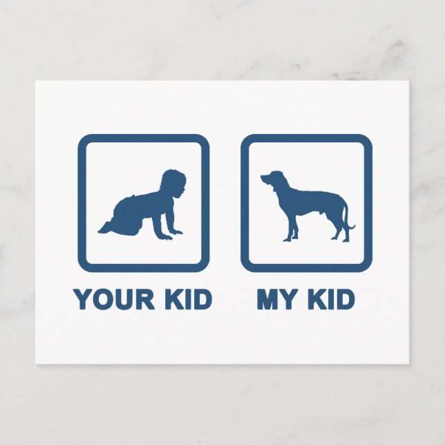 Bavarian Mountain Hound Postcard (Front)