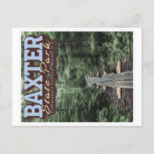 BAXTER STATE PARK - MAINE UNITED STATES POSTCARD