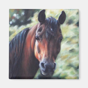 Bay Arabian horse face Magnet