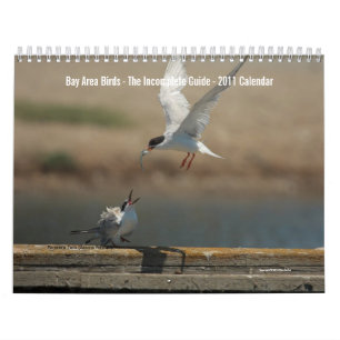 Bay Area Birds Calendar 2011