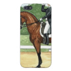 Bay at Halt, Dressage