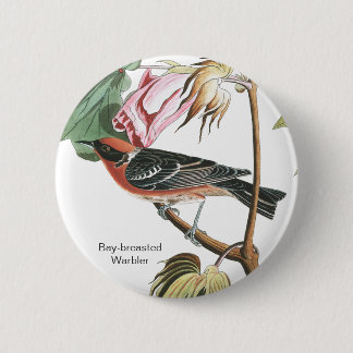 Bay-breasted Warbler, Audubon, Wood Warbler, Bird 6 Cm Round Badge