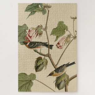 Bay-breasted Warbler - Audubon's Birds of America Jigsaw Puzzle