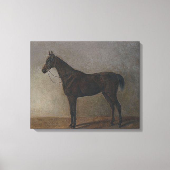 Bay Gelding Horse (by Albrecht Adam) Canvas Print (Front)
