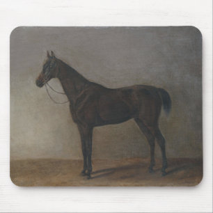 Bay Gelding Horse (by Albrecht Adam) Mouse Pad