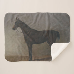 Bay Gelding Horse (by Albrecht Adam) Sherpa Blanket