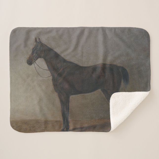 Bay Gelding Horse (by Albrecht Adam) Sherpa Blanket (Front (Horizontal))